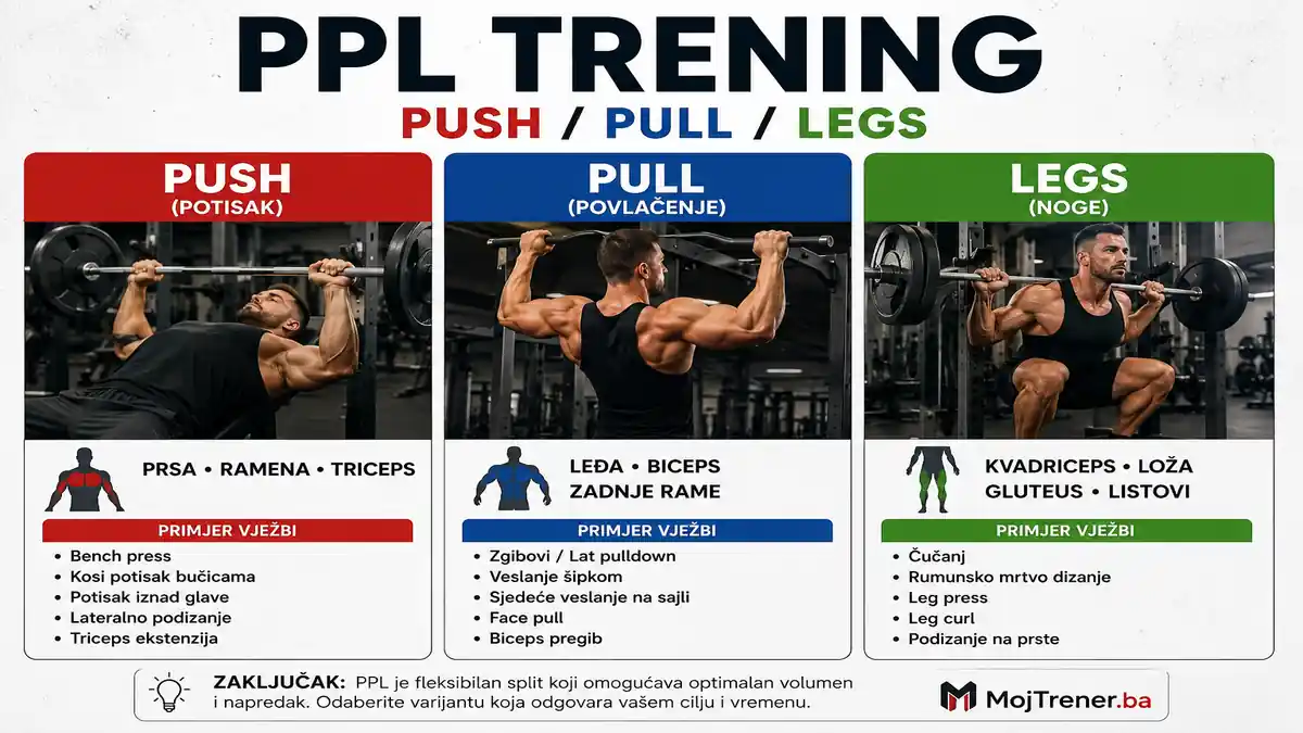 Push/Pull/Legs (PPL) trening – kako složiti program i koliko puta sedmično trenirati?